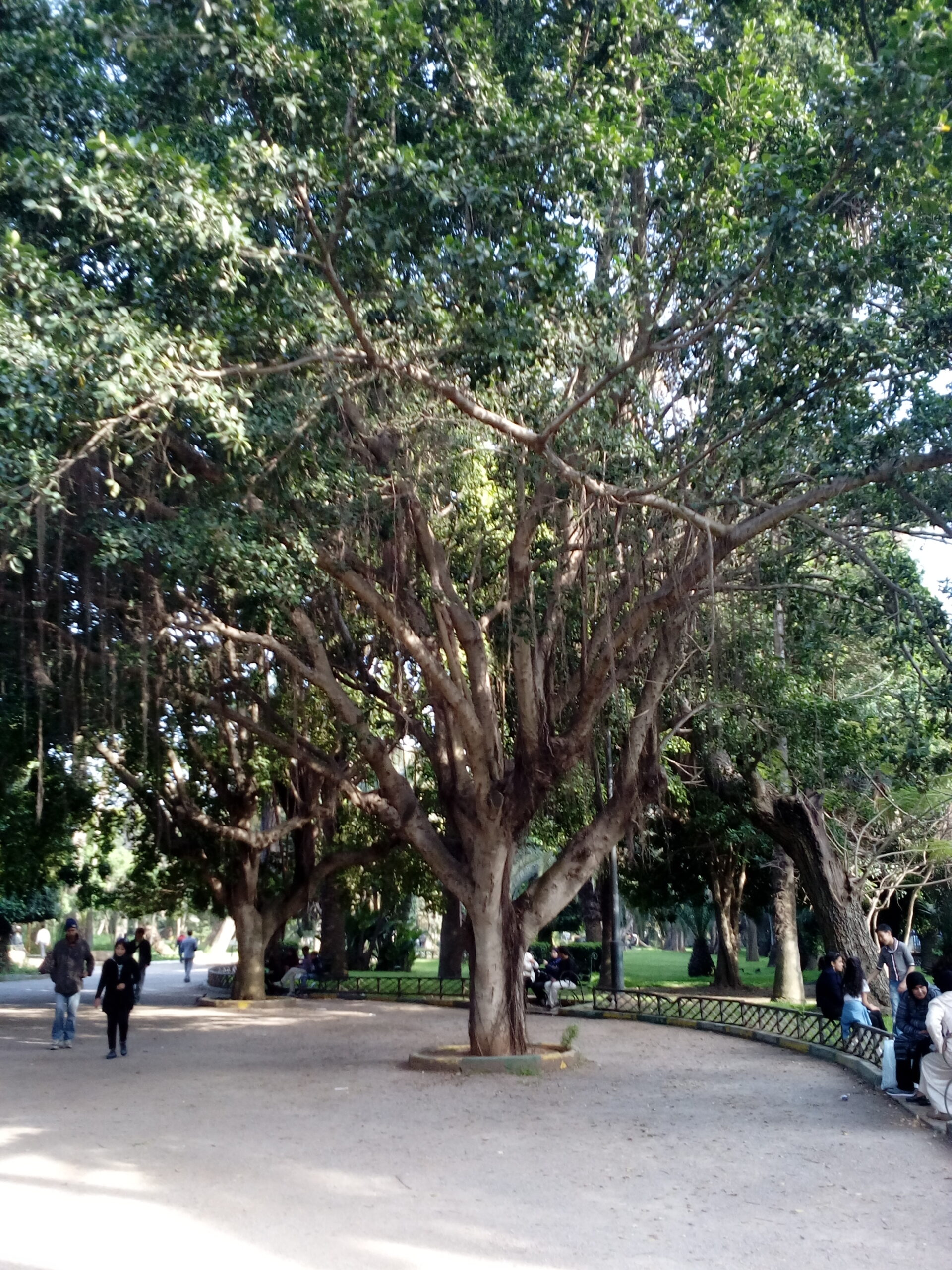 Подробнее о статье 15 День 22-й.