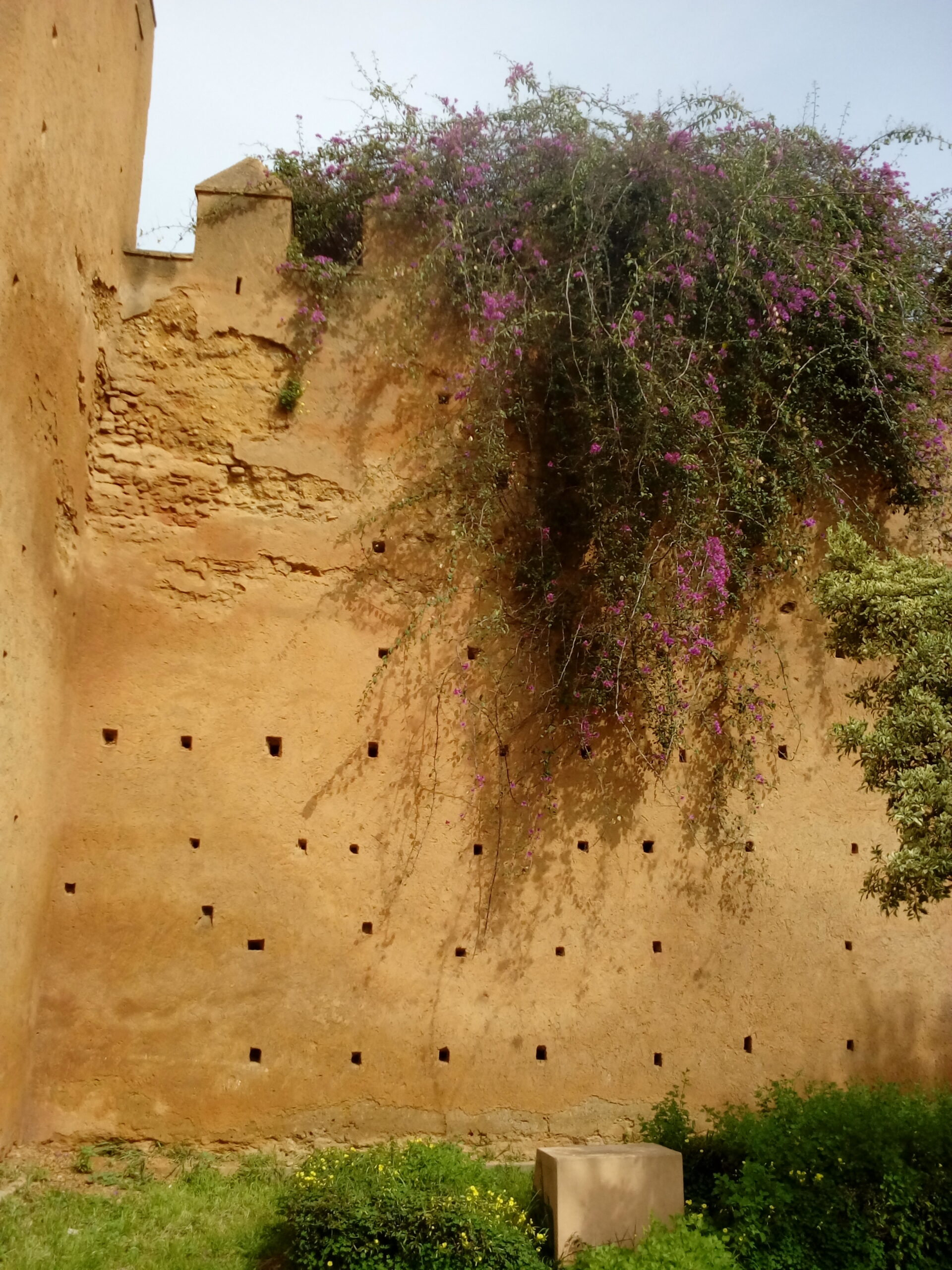 Подробнее о статье 4 День 5-й. Топографический кретинизм и что с этим делать.