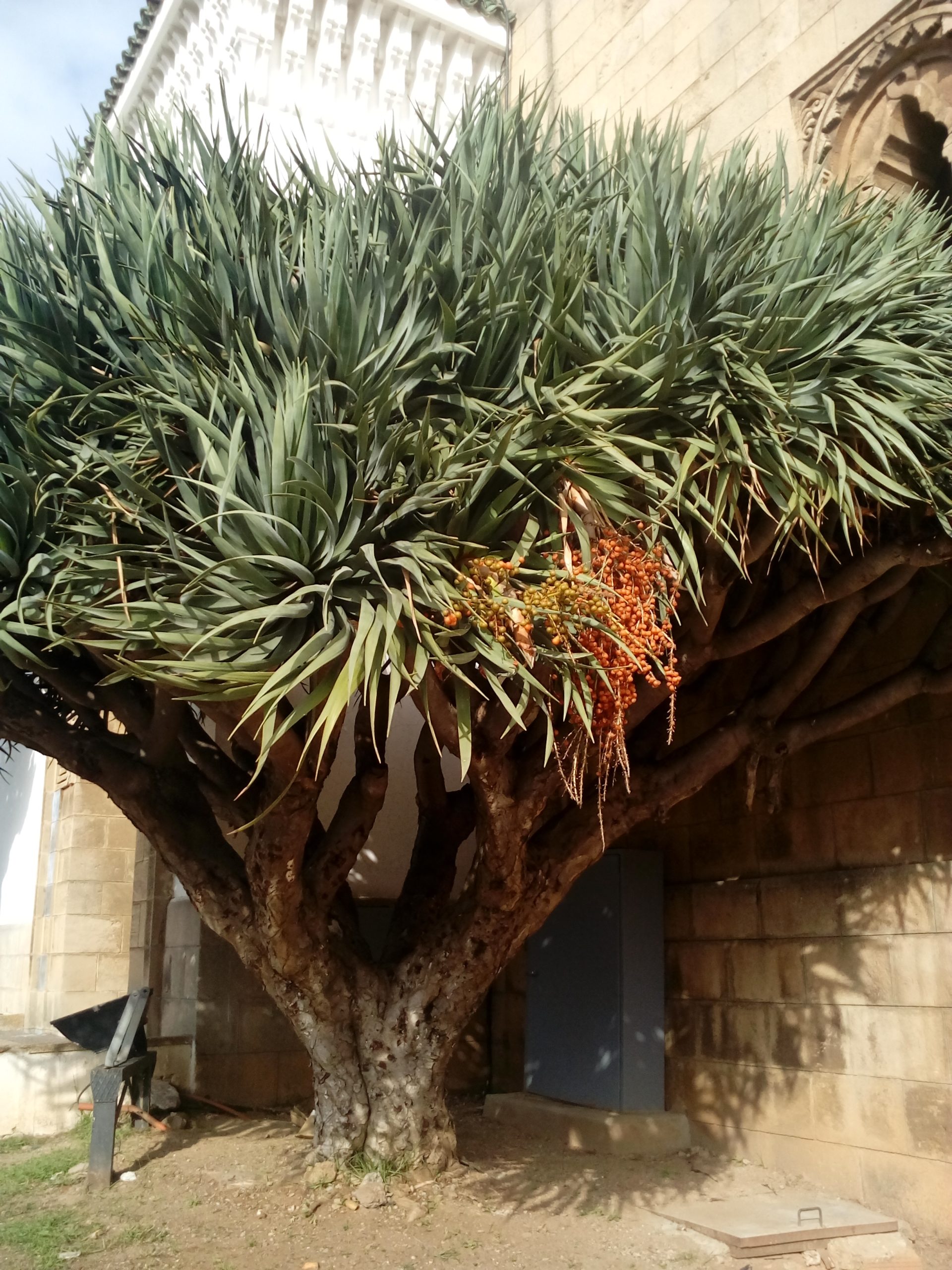 Подробнее о статье 13 День шестнадцатый.