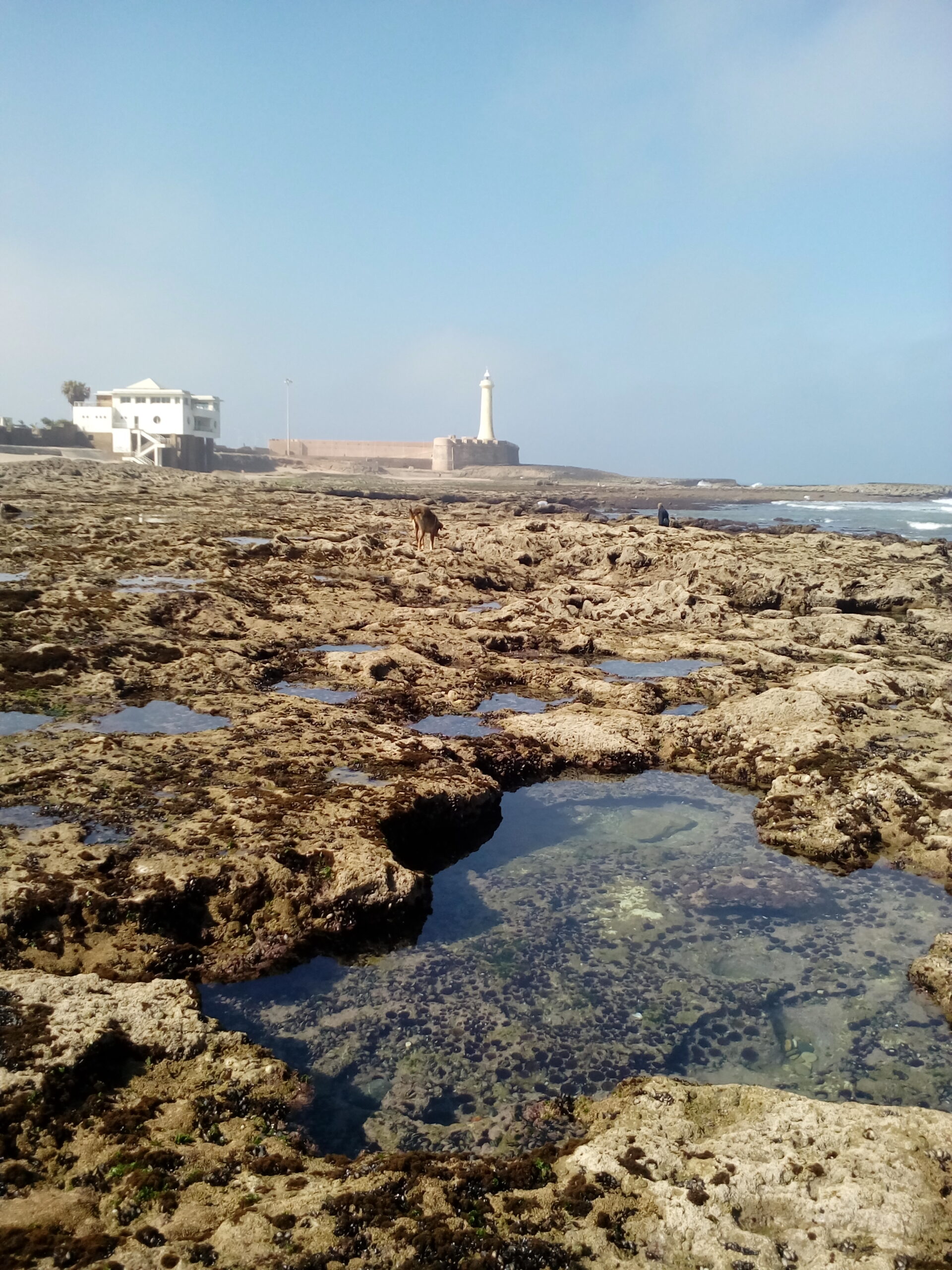 Подробнее о статье 16 День 25-й. Путешествие по дну Океана