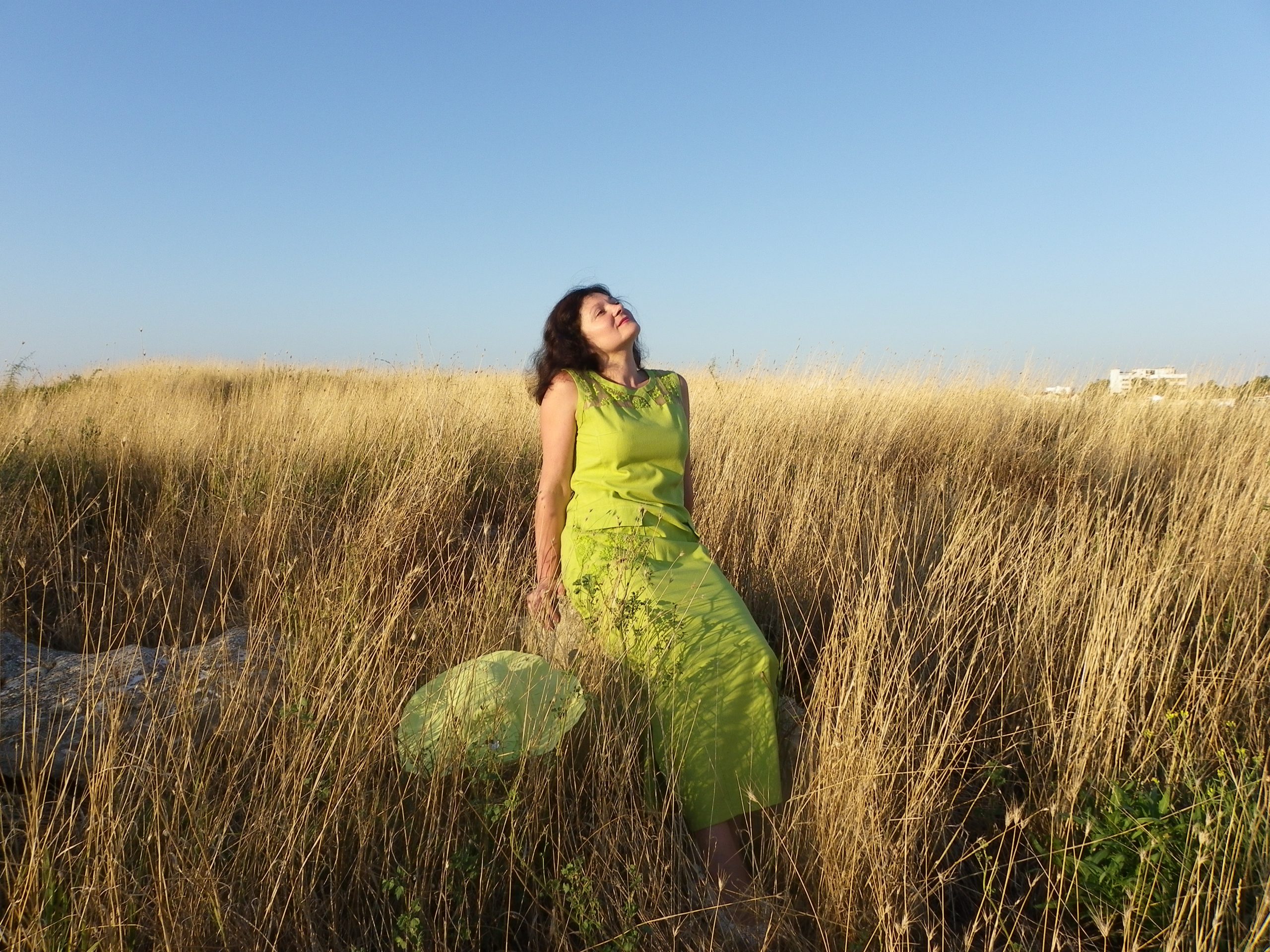 Подробнее о статье ЛУНА И ВЕНЕРА – ПОТРЕБНОСТИ И ЖЕЛАНИЯ