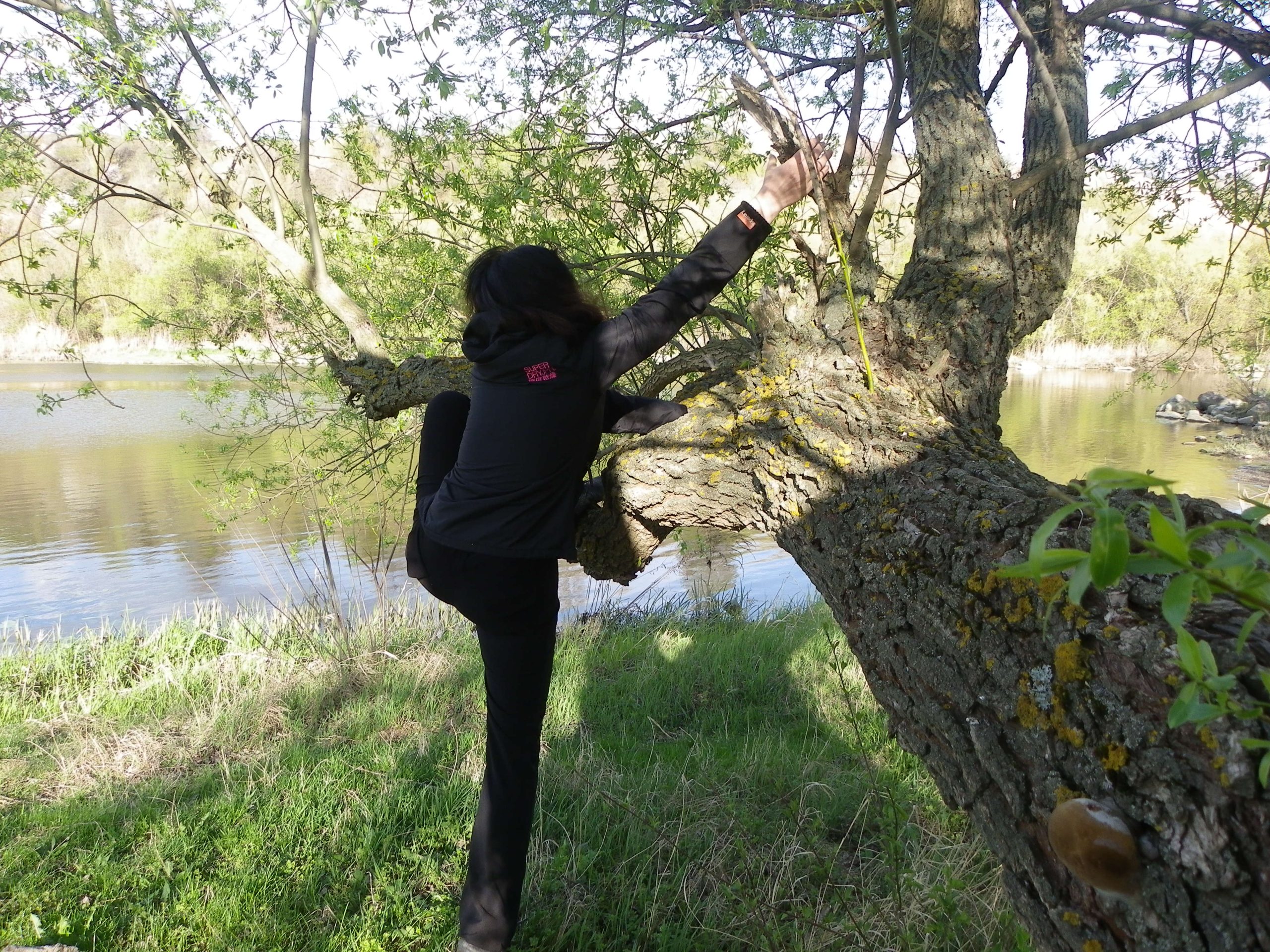 Подробнее о статье А Я ХОЧУ ЛАЗИТЬ ПО ДЕРЕВЬЯМ!